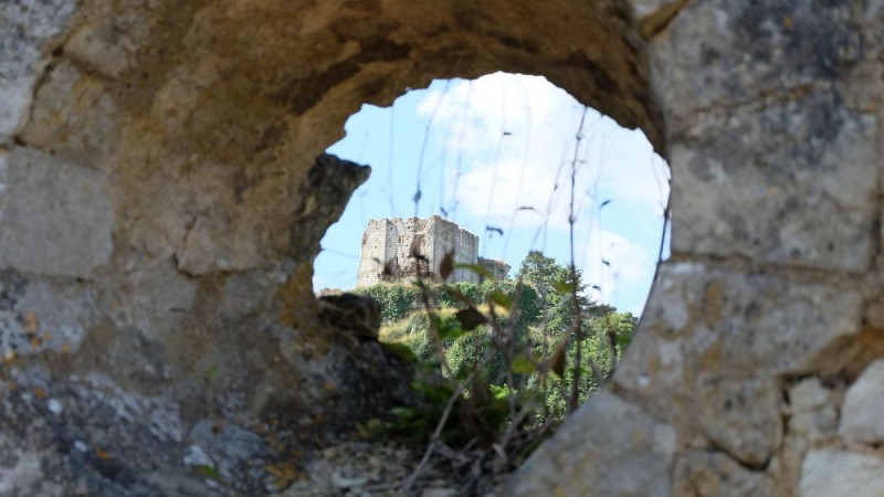 Vestiges du château de Montoire-sur-le-Loir