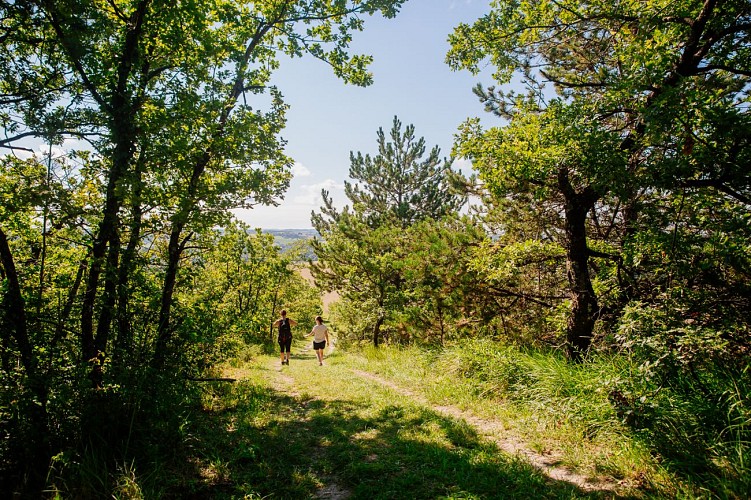 Sentier panorama sur la Dronne_Saint-Quentin-de-Chalais