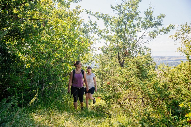 Sentier le parcours des fontaines_Saint-Quentin-de-Chalais