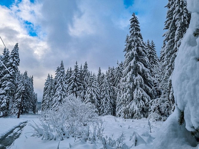 Sentier raquettes : la boucle du Golf_Mijoux