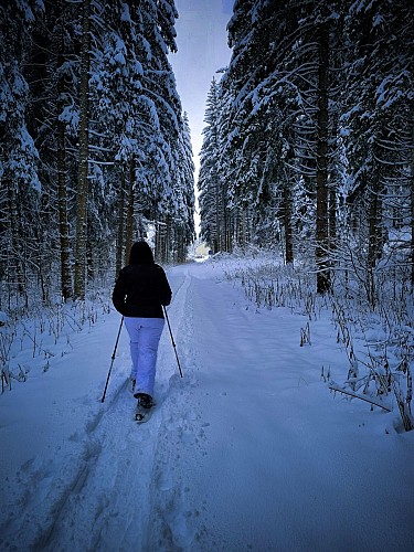 Sentier raquettes : la boucle du Golf_Mijoux