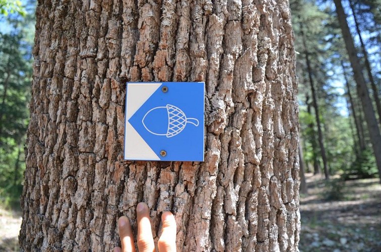 Balisage "graine bleue"