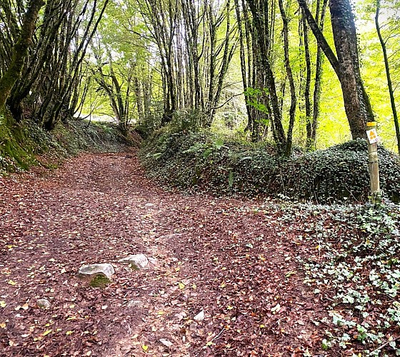 PAYZAC-Boucle du Beau Moulin-Chemin