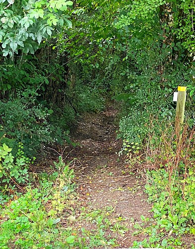 PAYZAC-Boucle du Beau Moulin-Chemin-Poteau