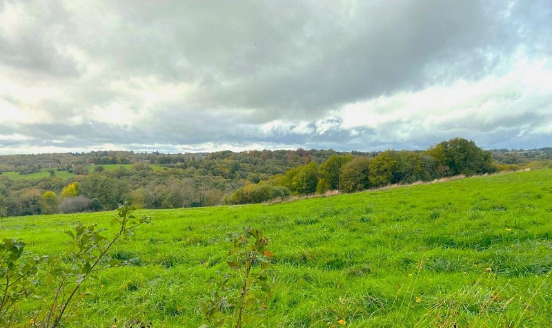 LANOUAILLE-Boucle de Laujardie-Chemin