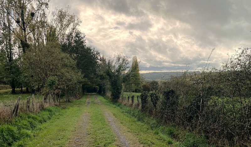 LANOUAILLE-Boucle de Laujardie-Chemin 2