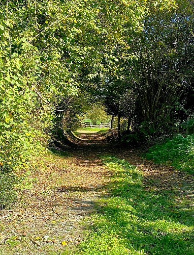 DUSSAC-Boucle de Foucauld-Chemin