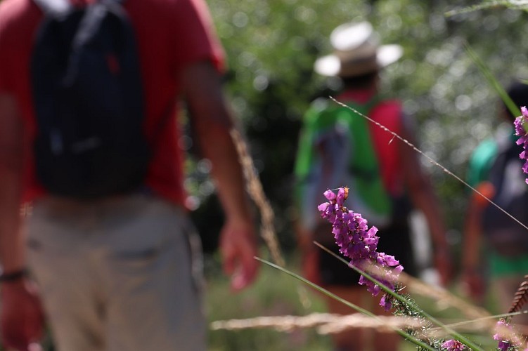 Les-fruits-Lay-Lamidou-credit-Nicolas-Bernos