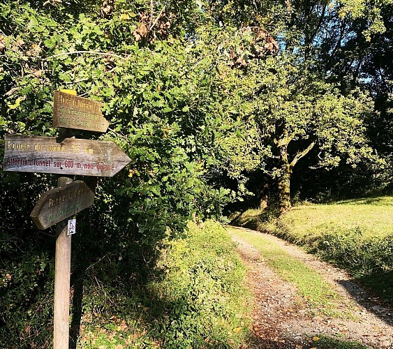 SAINT-RAPHAEL-Boucle du Quinqualou-Chemin-Signalétique