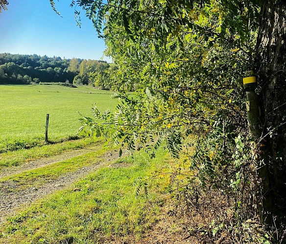 SAINT-SULPICE-D'EXCIDEUIL-Boucle du Ravillou-Chemin-Poteau