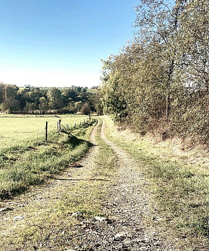 SAINT-SULPICE-D'EXCIDEUIL-Boucle du Ravillou-Chemin
