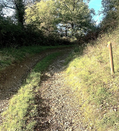 SALAGNAC-Etang de Born-Chemin 3