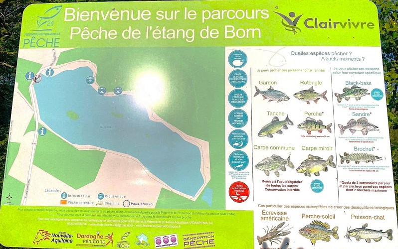 SALAGNAC-Etang de Born-info pêche