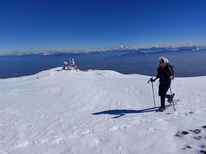 Schneeschuhpfad: von der Fierney-Gondelbahn zum Crêt de la Neige