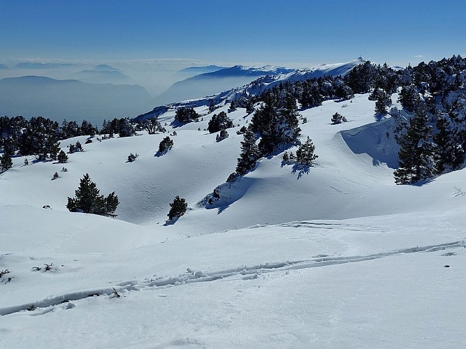 Sneeuwschoenwandeling: van de kabelbaan van Fierney naar Crêt de la Neige_Crozet
