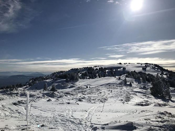 Sneeuwschoenwandeling: van de kabelbaan van Fierney naar Crêt de la Neige - Crozet