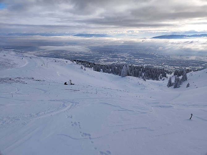 Schneeschuhpfad: von Les Bergers bis Crêt de la Neige