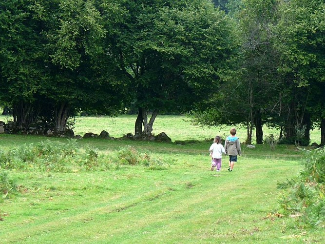 circuit-randonnee-le-larroun-1