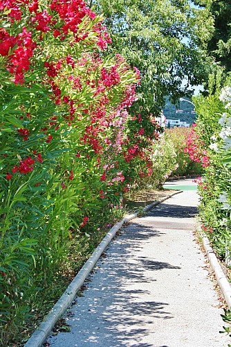 Piste Cyclable Cavalaire