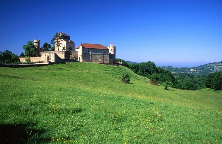 Château de Rosay (privé)