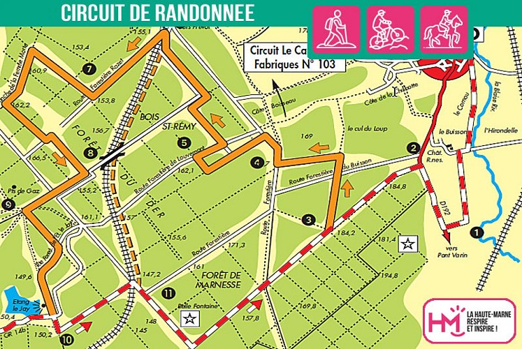 Carte du circuit de randonnée de la forêt du Der