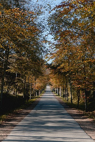 TCG - De Diélette à Beaumont-Hague