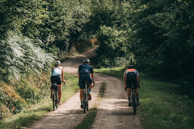 TCG - De Saint-Vaast-la-Hougue à Valognes
