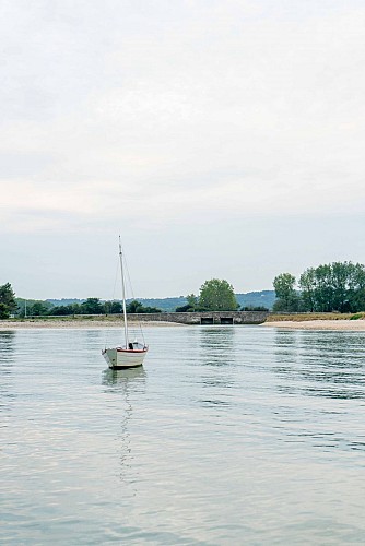 TCG - De Saint-Vaast-la-Hougue à Valognes