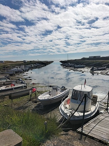 TCG - De Saint-Vaast-la-Hougue à Valognes