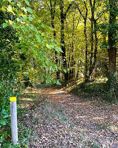SAINT-RAPHAEL-Boucle du Tunnel-Chemin-Poteau 2