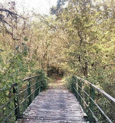SAINT-RAPHAEL-Boucle du Pontillou-Chemin