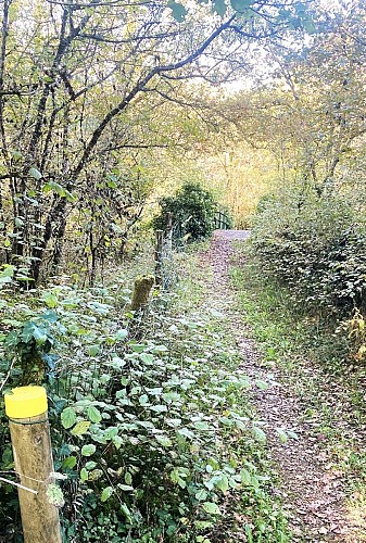 SAINT-RAPHAEL-Boucle du Pontillou-Chemin-Poteau