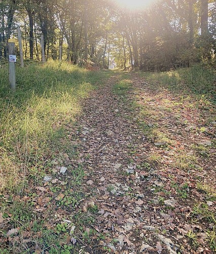 SAINT-RAPHAEL-Boucle du Pontillou-Chemin-Poteau 2