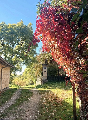 SAINT-GERMAIN-DES-PRES-Boucle des Aviateurs-Chemin 2