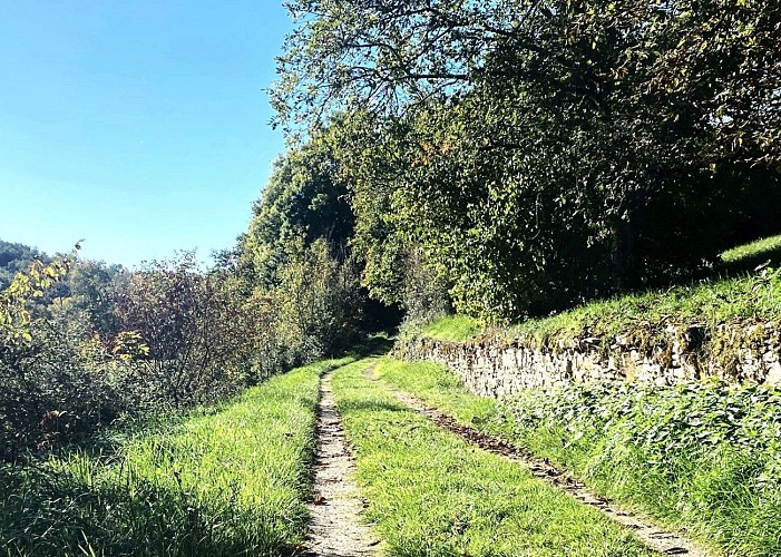 SAINT-GERMAIN-DES-PRES-Boucle des Aviateurs-Chemin
