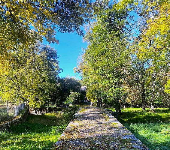 SAINT-GERMAIN-DES-PRES-Boucle des Aviateurs-Chemin 3