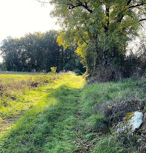 MAYAC-Boucle des Chambrettes-Chemin