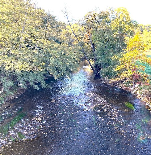 SAINT-VINCENT-SUR-L'ISLE-Boucle de Garabaud-Rivière