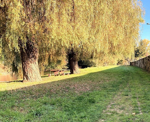 SAINT-VINCENT-SUR-L'ISLE-Boucle de Garabaud-Chemin