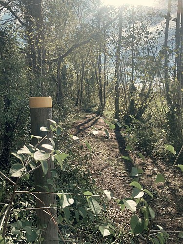 CUBJAC-Boucle de Lambaudie-Chemin-Potreau