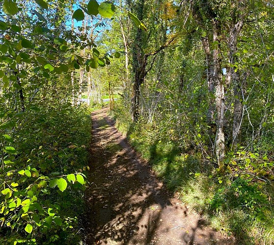 CUBJAC-Boucle de Lambaudie-Chemin
