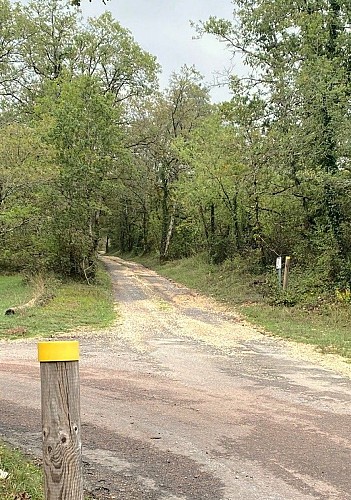 LA FORGE D'ANS-Boucle du Lac Blanc-Chemin-Poteau