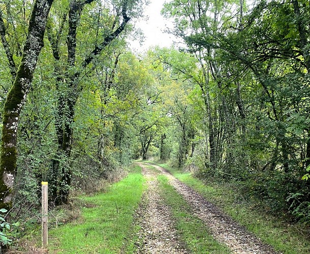BROUCHAUD-Boucle des Lichens-Chemin-Poteau
