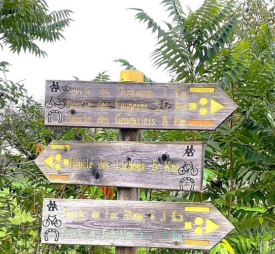 BROUCHAUD-Boucle des Lichens-Signalétique