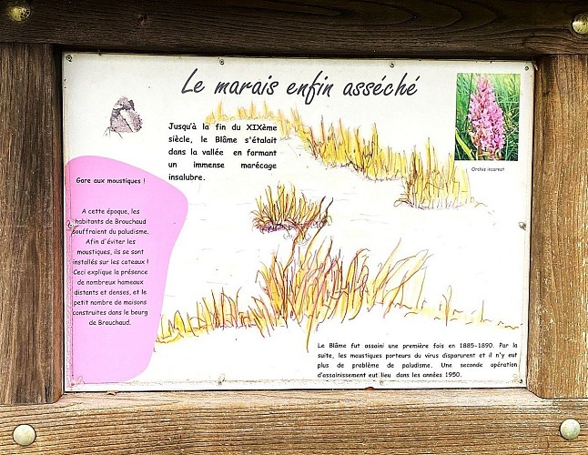 BROUCHAUD-Boucle des Genevriers-Panneau d'ino Marais