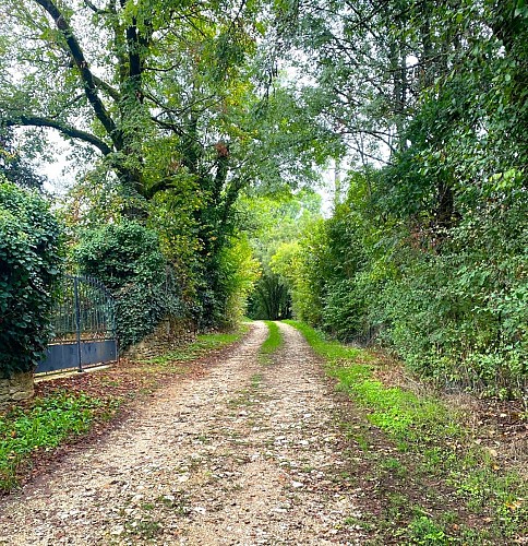 BROUCHAUD-Boucle des Genevriers-Chemin