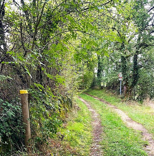 BROUCHAUD-Boucle des Orchidées-Chemin