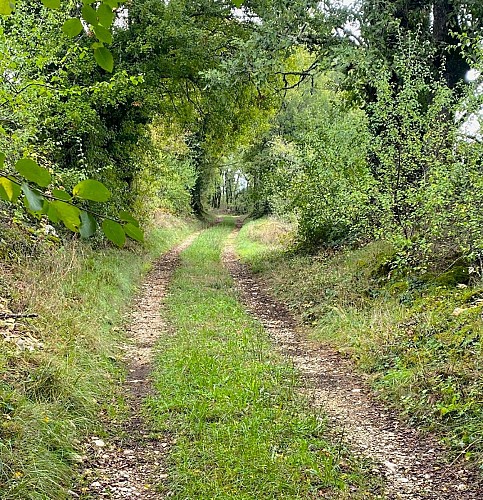 BROUCHAUD-Boucle des Orchidées-Chemin 2