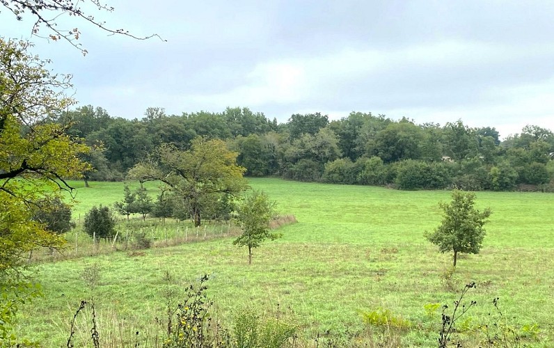BROUCHAUD-Boucle des Orchidées-Paysage