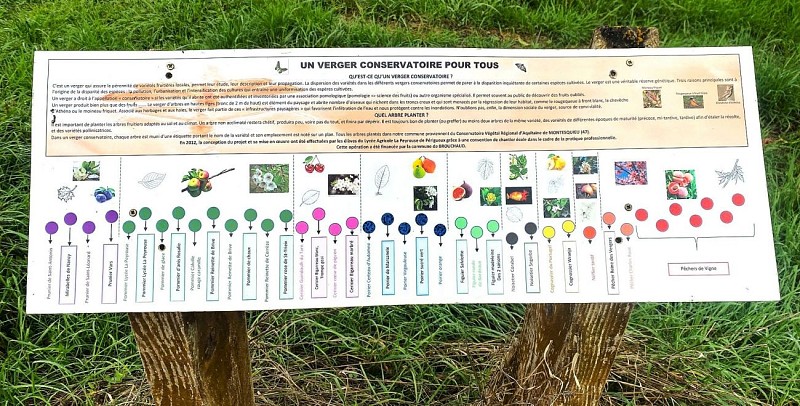 BROUCHAUD-Boucle des fougères-Panneau d'info Verger